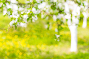 Similar image 13005075