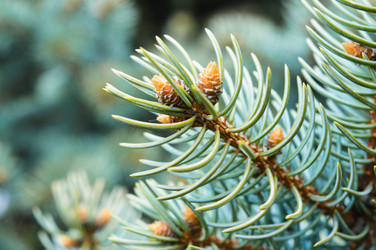 Similar image 13007767