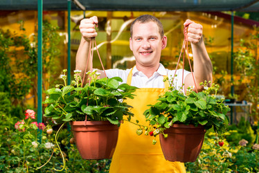 Similar image 13063535