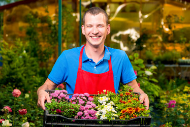 Similar image 13063574