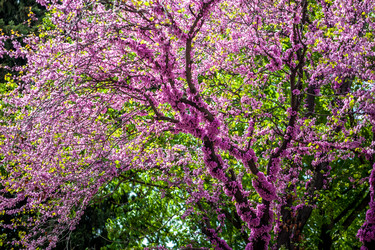 Similar image 13061680