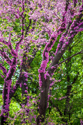 Similar image 13061681