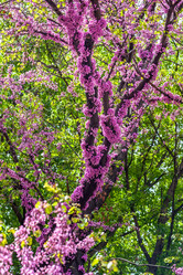 Similar image 13061682