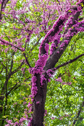 Similar image 13061683