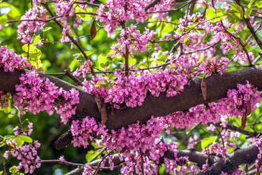 Similar image 13061684