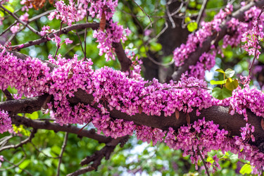 Similar image 13061748