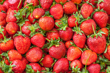 Similar image 13061750