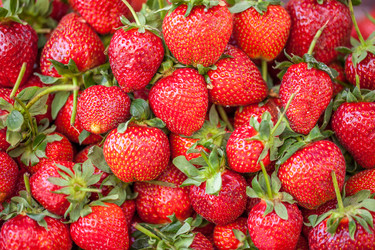 Similar image 13061751