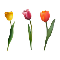 Similar image 13010767