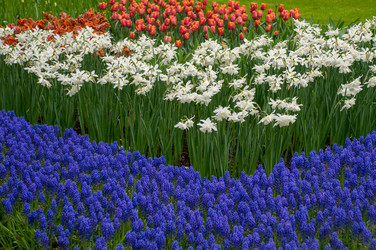 Similar image 13011854