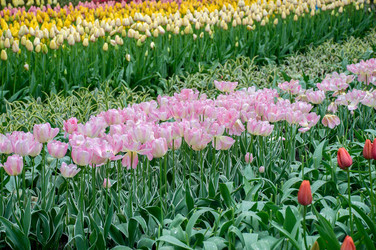 Similar image 13011856