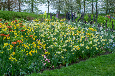 Similar image 13011874