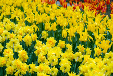 Similar image 13011875