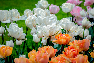 Similar image 13011876