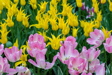 Similar image 13011953