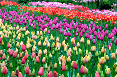 Similar image 13011974