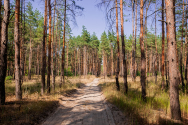 Similar image 13011975