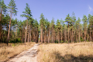 Similar image 13011976