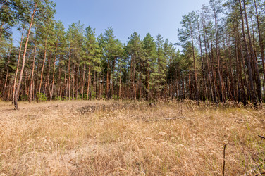 Similar image 13011977