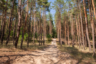 Similar image 13011978