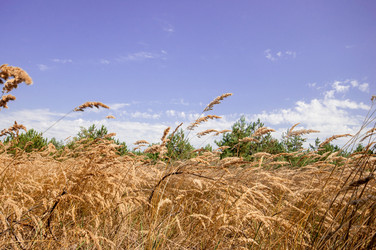 Similar image 13011979