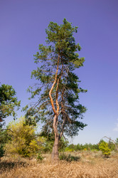 Similar image 13011980