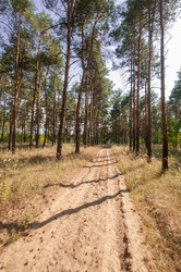 Similar image 13011981