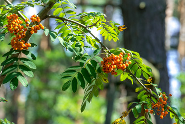 Similar image 13011982