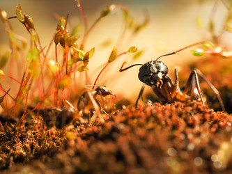 Similar image 13007860