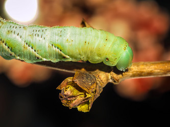 Similar image 13007863