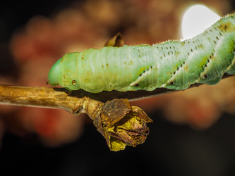 Similar image 13007864