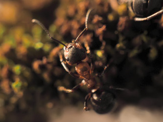 Similar image 13007865