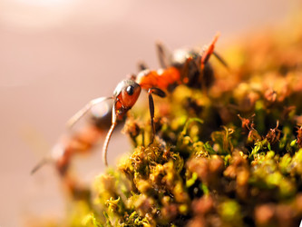 Similar image 13007866