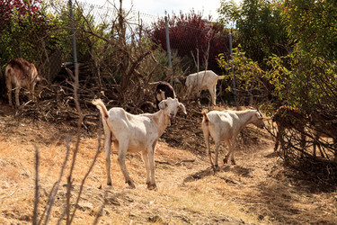 Similar image 13051768