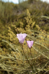 Similar image 13051787