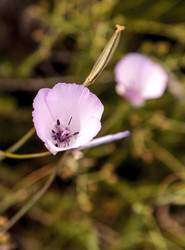 Similar image 13051834