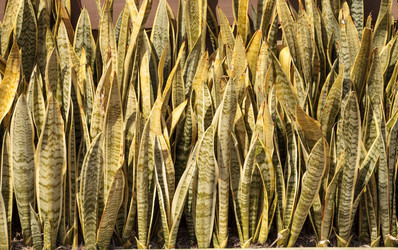 Similar image 13051581