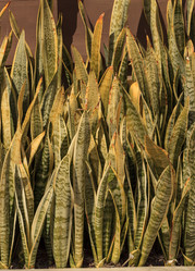 Similar image 13051582