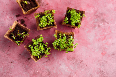 Similar image 13019349