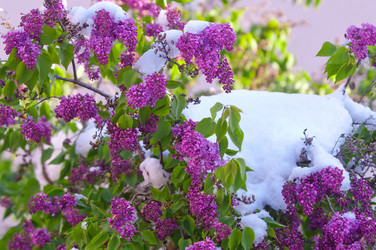 Similar image 13010649