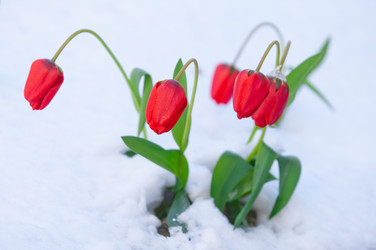 Similar image 13010654