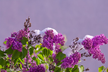 Similar image 13010655