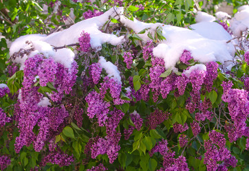 Similar image 13010657