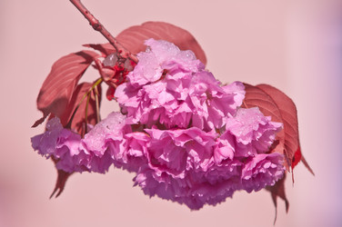 Similar image 13010659