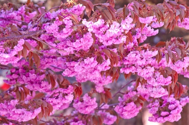 Similar image 13010665