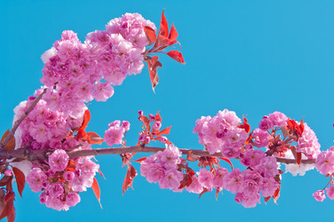 Similar image 13010666