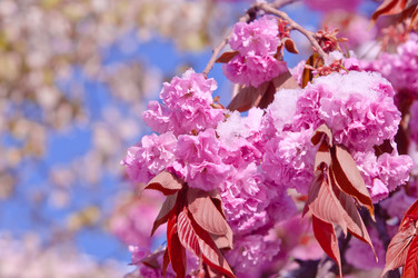 Similar image 13010667