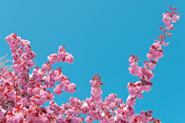 Similar image 13010670