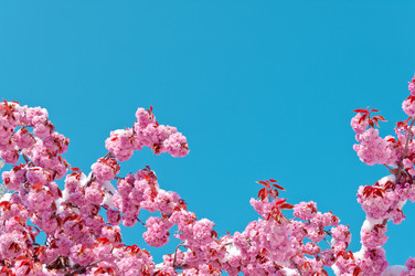 Similar image 13010672