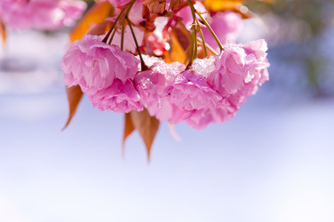 Similar image 13010684